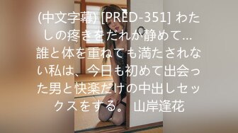 (中文字幕) [PRED-351] わたしの疼きをだれか静めて… 誰と体を重ねても満たされない私は、今日も初めて出会った男と快楽だけの中出しセックスをする。 山岸逢花