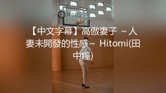 【中文字幕】高傲妻子 ～人妻未開發的性感～ Hitomi(田中瞳)