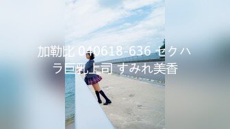 加勒比 040618-636 セクハラ巨乳上司 すみれ美香