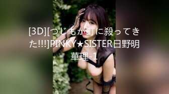 [3D][つじもが町に殺ってきた!!!]PINKY★SISTER日野明華理-1