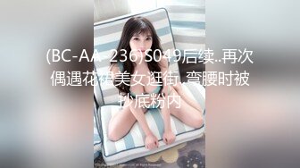 (BC-AA-236)S049后续..再次偶遇花裙美女逛街..弯腰时被抄底粉内