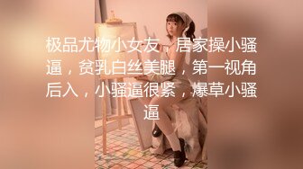 极品尤物小女友，居家操小骚逼，贫乳白丝美腿，第一视角后入，小骚逼很紧，爆草小骚逼