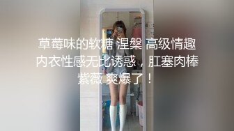 草莓味的软糖 涅槃 高级情趣内衣性感无比诱惑，肛塞肉棒紫薇 爽爆了！