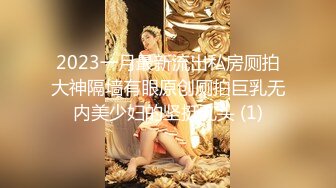 2023一月最新流出私房厕拍大神隔墙有眼原创厕拍巨乳无内美少妇的坚挺乳头 (1)