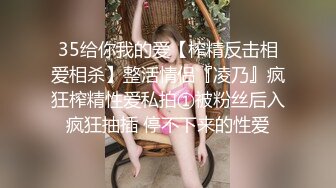 35给你我的爱【榨精反击相爱相杀】整活情侣『凌乃』疯狂榨精性爱私拍①被粉丝后入疯狂抽插 停不下来的性爱