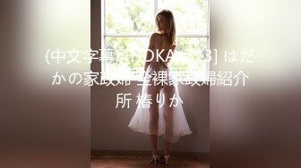 (中文字幕) [HDKA-223] はだかの家政婦 全裸家政婦紹介所 椿りか