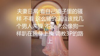 高清无水印珍藏版 高铁女神乘务员和靓丽的女乘客 (9)