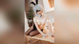 The Parodies 5