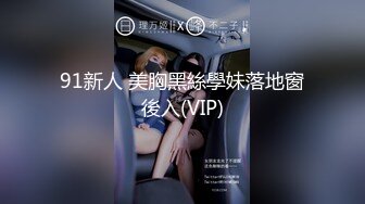 91新人 美胸黑絲學妹落地窗後入(VIP)