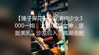 【锤子探花】极品清纯少女3000一炮，大圈00后女神，坚挺美乳，沙发后入，高潮迭起