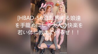 [HBAD-563] 同居する娘達を手籠めにして大人の快楽を若い体に教えてやるぜ！！