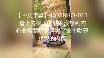 【中文字幕】401SRHO-011 看上去很乖的姑娘沒想到內心非常悶騷覺得爽了會主動尋找我的肉棒