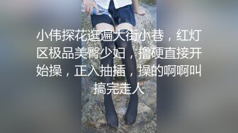 小伟探花逛遍大街小巷，红灯区极品美臀少妇，撸硬直接开始操，正入抽插，操的啊啊叫搞完走人