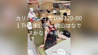 カリビアンコム 090320-001 THE 未公開 ～青山はなでヌかなきゃ損々～