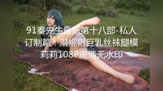 91秦先生最新第十八部-私人订制篇：潜规则巨乳丝袜腿模莉莉108P高清无水印