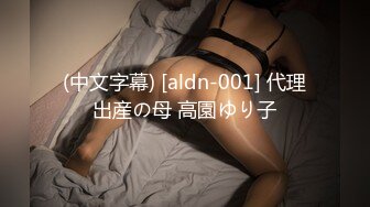 (中文字幕) [aldn-001] 代理出産の母 高園ゆり子