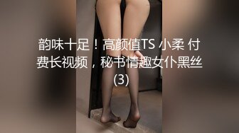 韵味十足！高颜值TS 小柔 付费长视频，秘书情趣女仆黑丝 (3)