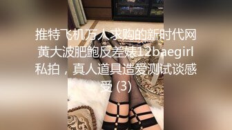 推特飞机万人求购的新时代网黄大波肥鲍反差婊12baegirl私拍，真人道具造爱测试谈感受 (3)