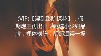 (VIP)【淫乱影院探花】，假期炮王再出山，挑选小少妇品牌，裸体横陈，阴部湿得一塌