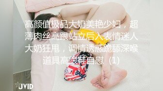 高颜值极品大奶美艳少妇，超薄肉丝高跟站立后入表情迷人大奶狂甩，调情诱惑跪舔深喉道具高跟鞋自慰  (1)