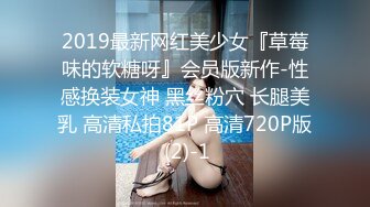 2019最新网红美少女『草莓味的软糖呀』会员版新作-性感换装女神 黑丝粉穴 长腿美乳 高清私拍81P 高清720P版 (2)-1