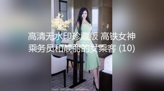 高清无水印珍藏版 高铁女神乘务员和靓丽的女乘客 (10)