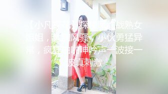 【小凡探花】探楼凤约战熟女姐姐，大胸风骚，小伙勇猛异常，疯狂啪啪呻吟声一波接一波真刺激