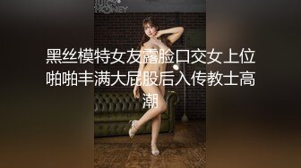 黑丝模特女友露脸口交女上位啪啪丰满大屁股后入传教士高潮