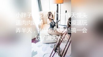 小胖子探花约了个一线天馒头逼肉肉妹子，特写掰穴摸逼玩弄半天，抬腿侧入抽插搞一会软了满天大汉