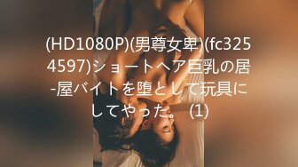 (HD1080P)(男尊女卑)(fc3254597)ショートヘア巨乳の居-屋バイトを堕として玩具にしてやった。 (1)