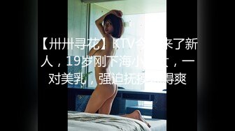 【卅卅寻花】KTV今天来了新人，19岁刚下海小美女，一对美乳，强迫抚摸玩得爽