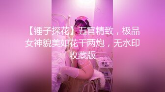 【锤子探花】五官精致，极品女神貌美如花干两炮，无水印收藏版