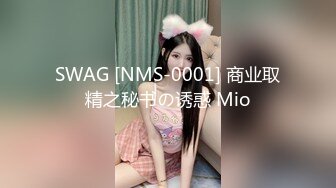 SWAG [NMS-0001] 商业取精之秘书の诱惑 Mio