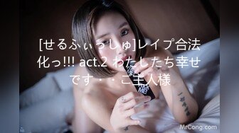 [せるふぃっしゅ]レイプ合法化っ!!! act.2 わたしたち幸せです・・ご主人様