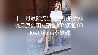 十一月最新流出私房偷拍大神晓月原创朋友聚会KTV厕拍03-网红脸+香菜妹妹