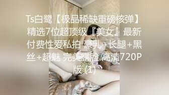 Ts白鹭【极品稀缺重磅核弹】精选7位超顶级『美女』最新付费性爱私拍 豪乳+长腿+黑丝+超魅 完美露脸 高清720P版 (1)