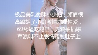 极品美乳微胖小少妇，颜值很高跟胡子小哥激情啪啪性爱，69舔逼吃鸡巴，无套抽插爆草浪叫不止表情骚射肚子上