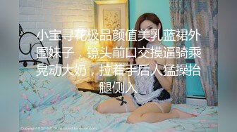 小宝寻花极品颜值美乳蓝裙外围妹子，镜头前口交摸逼骑乘晃动大奶，拉着手后人猛操抬腿侧入