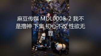 麻豆传媒 MDL0008-2 我不是撸神 下集 初心不改 性欲无罪