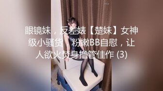 眼镜妹，反差婊【楚妹】女神级小骚货，粉嫩BB自慰，让人欲火焚身撸管佳作 (3)