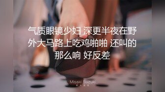 气质眼镜少妇 深更半夜在野外大马路上吃鸡啪啪 还叫的那么响 好反差